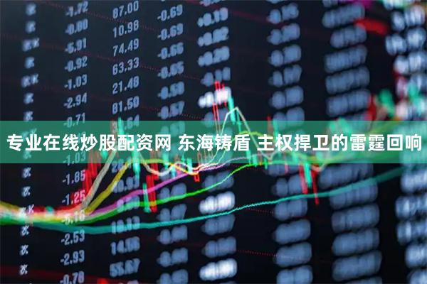 专业在线炒股配资网 东海铸盾 主权捍卫的雷霆回响