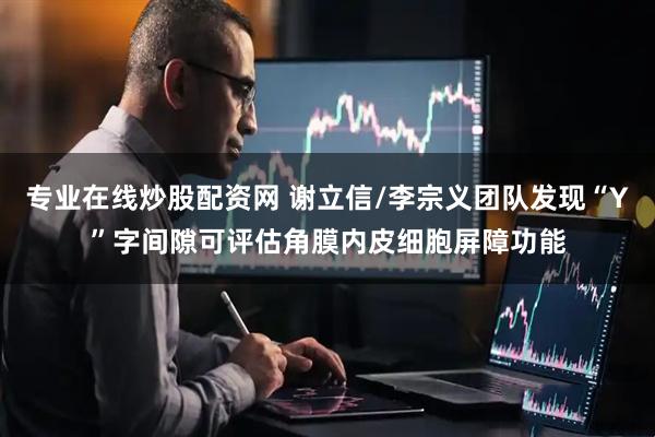 专业在线炒股配资网 谢立信/李宗义团队发现“Y”字间隙可评估角膜内皮细胞屏障功能
