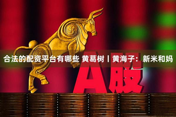 合法的配资平台有哪些 黄葛树丨黄海子：新米和妈